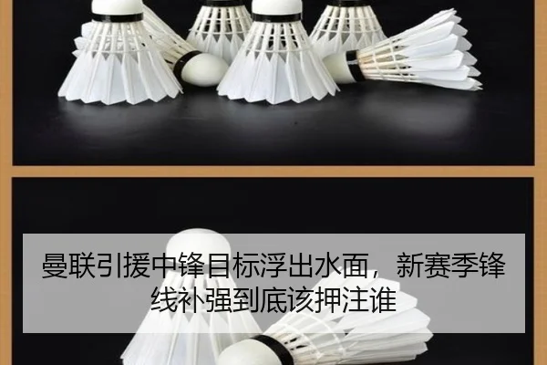 曼联引援中锋目标浮出水面，新赛季锋线补强到底该押注谁